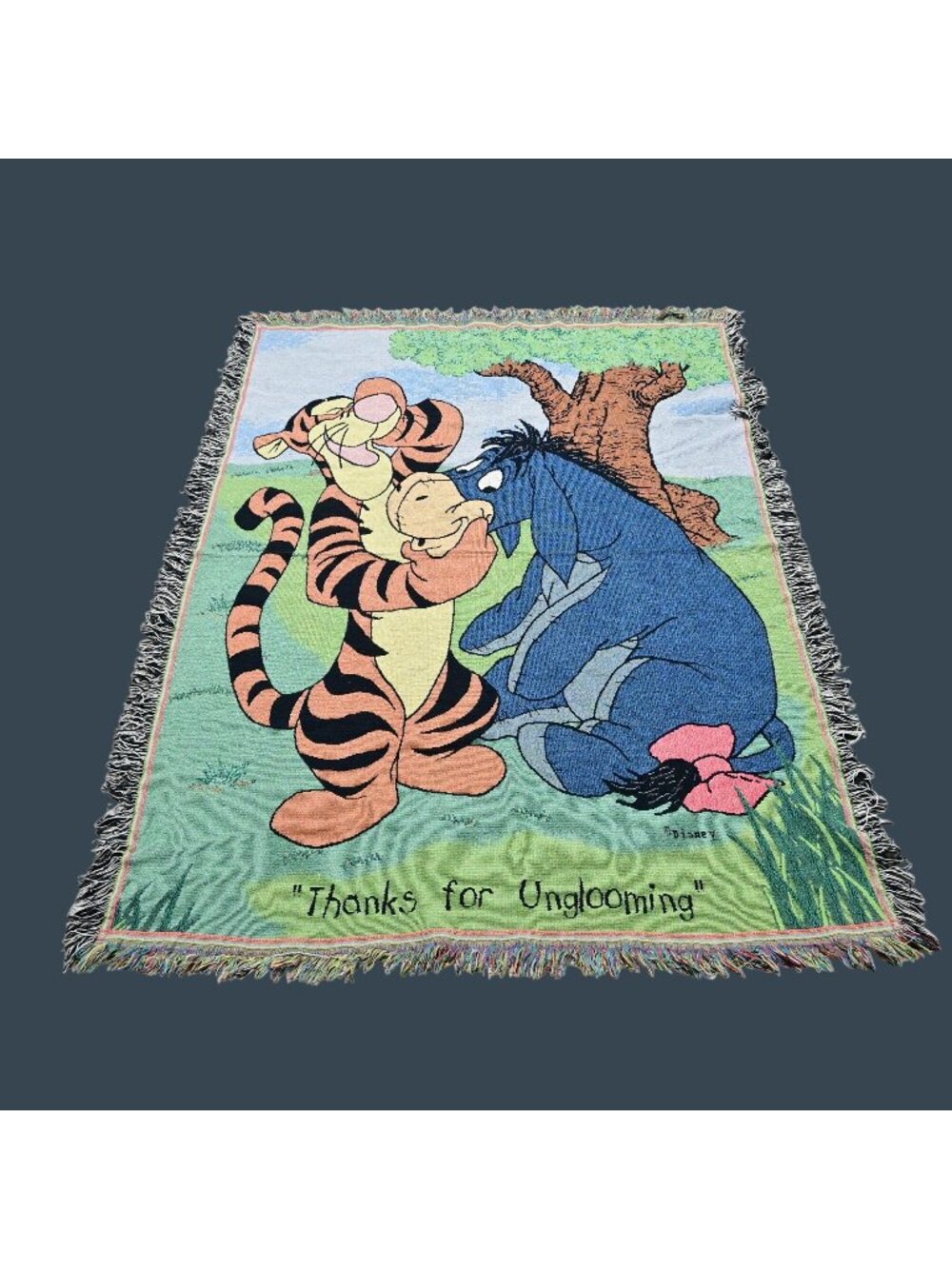 Winnie The Pooh Tigger & Eeyore Thanks For Unglooming Tapestry Throw Blanket